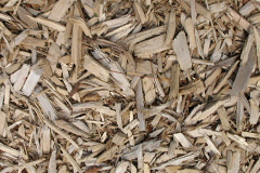 biomass boilers Skinidin