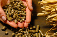 free Skinidin biomass boiler quotes
